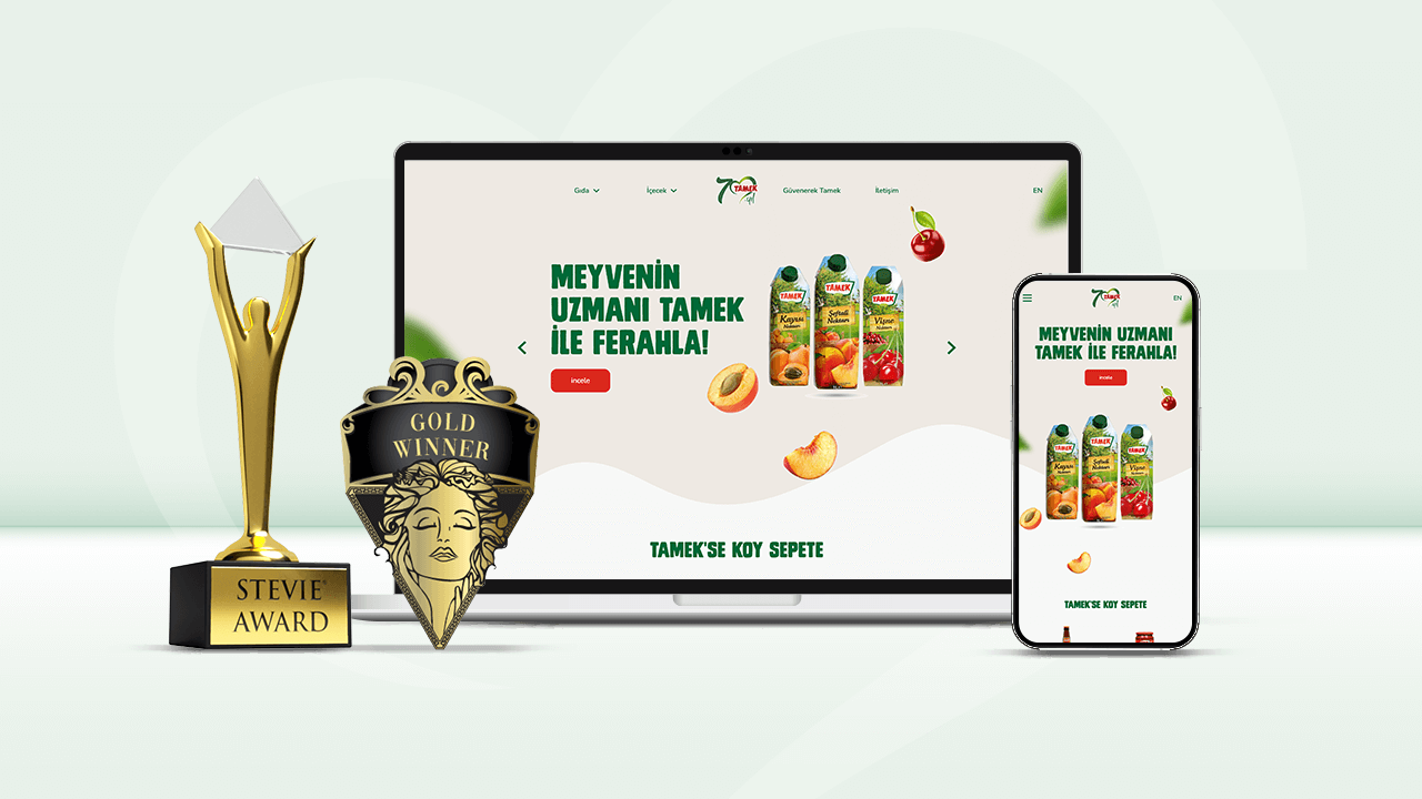 Gricreatıve, Tamek Web Sitesi İle İkinci Kez Zirvede!