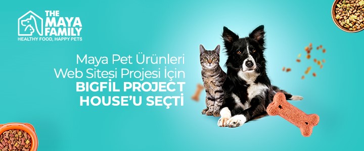 The Maya Family Pet, Web Sitesi Projesi İçin BigFil Project House İle Anlaştı