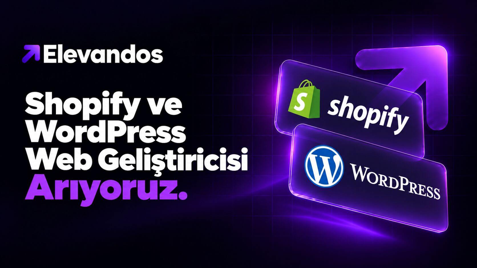 Elevandos Ajans Shopify ve WordPress Web Geliştiricisi Arıyor!