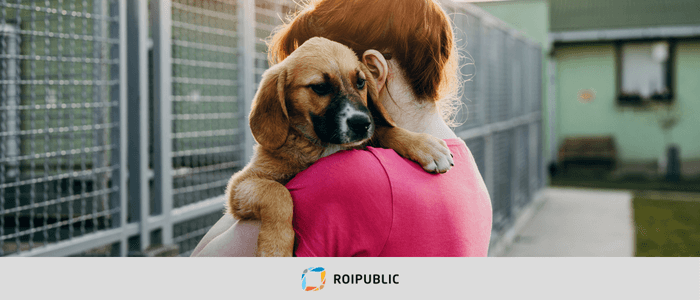 ROIPUBLIC'ten Evcil Dostlar için Mama Desteği Uygulaması