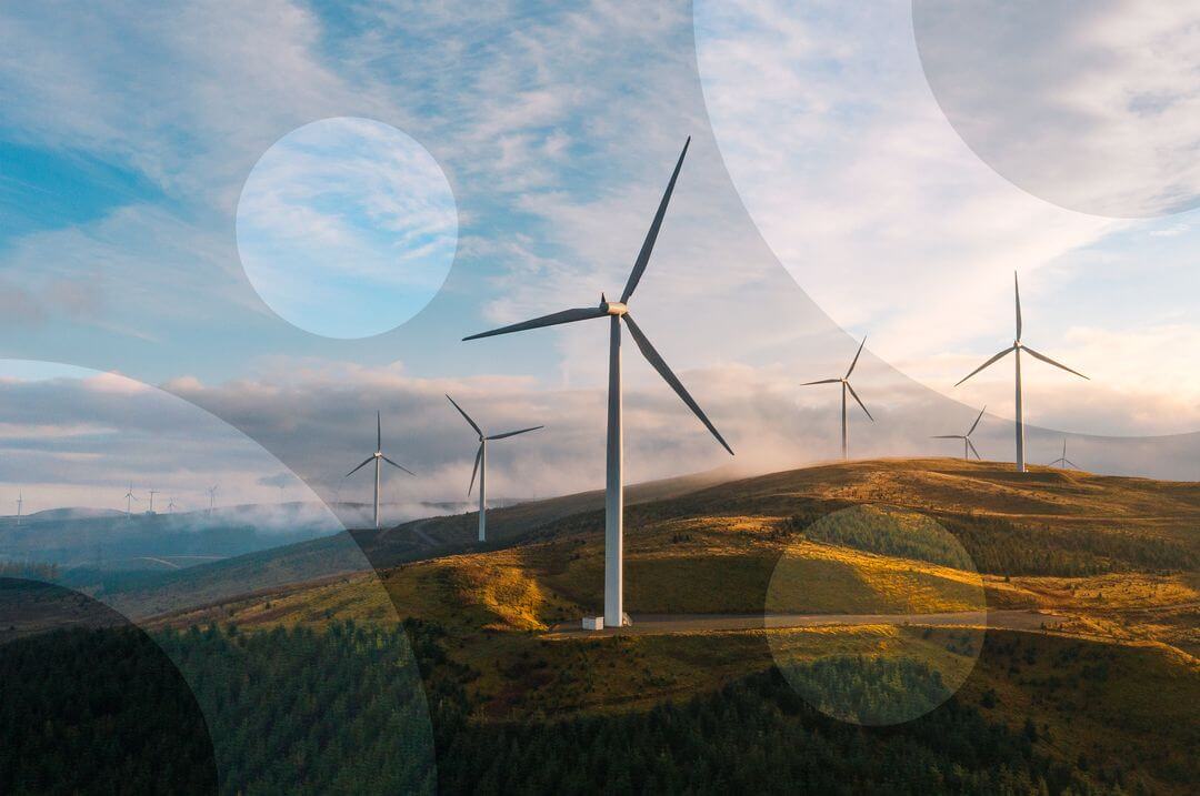 UiPath, Yapay Zekâ ve Otomasyonla Enerjisa’nın Dijital Dönüşümünü Hızlandırdı